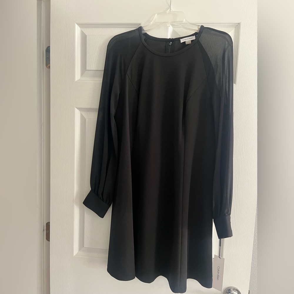 Calvin Klein Dress with Sheer Sleaves